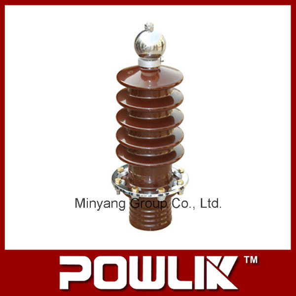 Hot Sale Transformer Bushing Insulator for Distribution Transformer