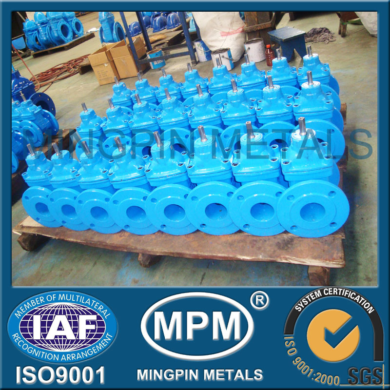 Cast Iron Gate Valve