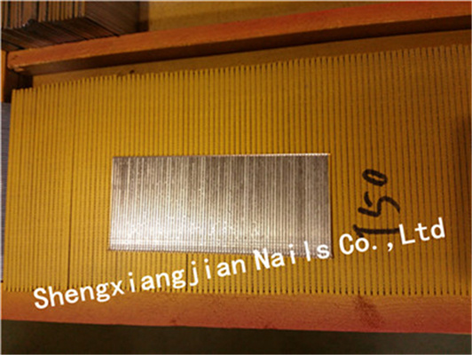Hardware Factory Selling 16ga T Brad Iron Nails