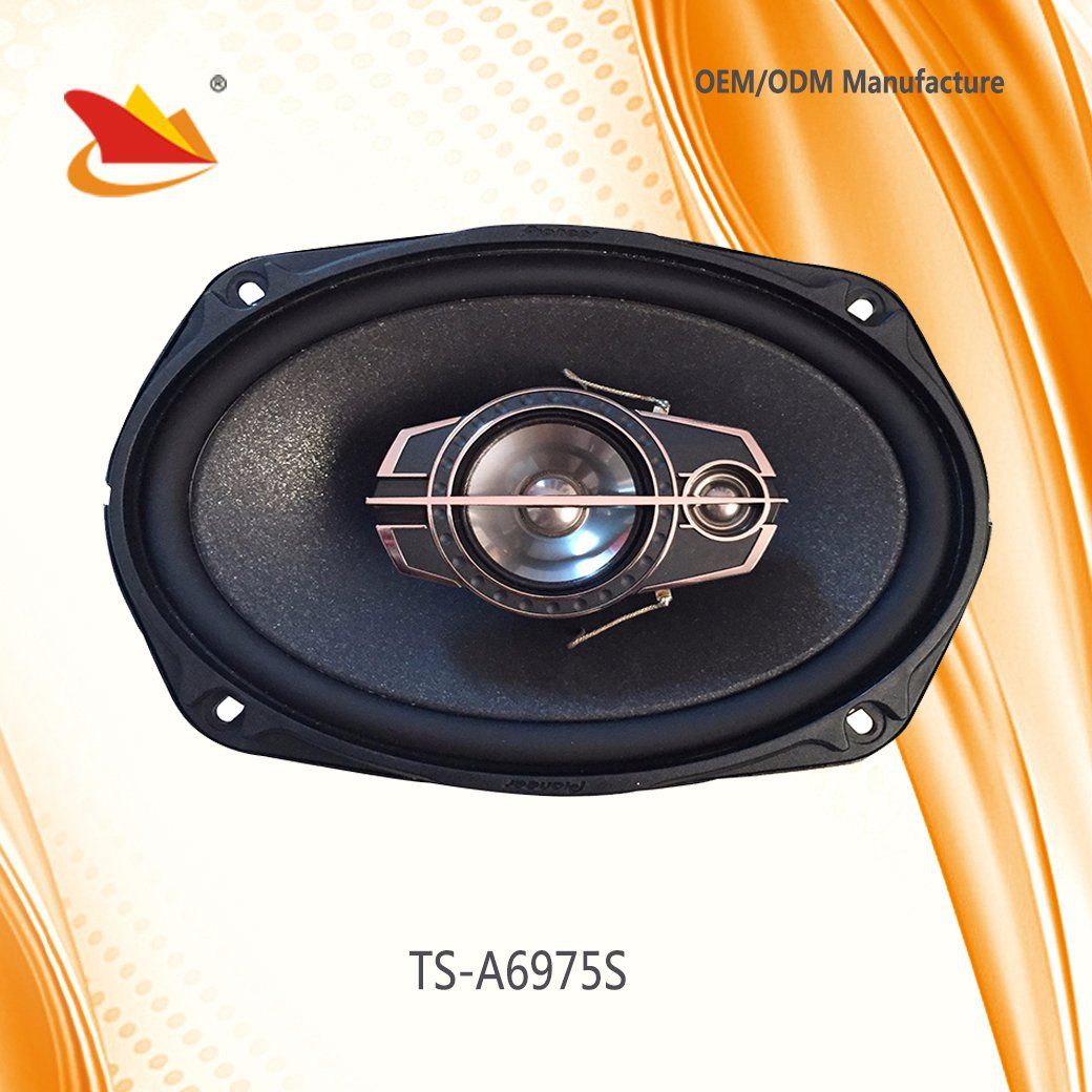 Pioneer Style 6*9 Car Speaker