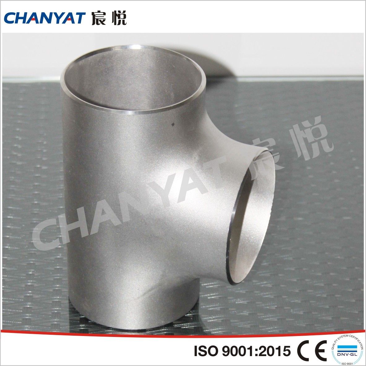 Stainless Steel Tee (Seamless, Welded, Plate)