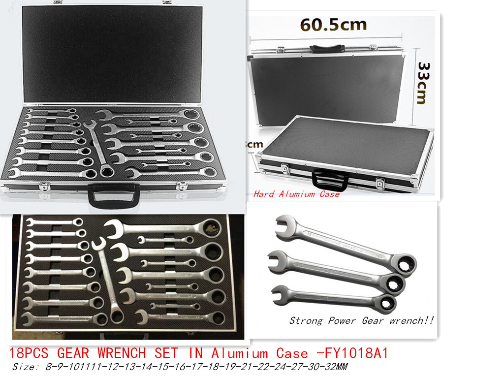 18PCS Professional Gear Wrench Set (FY1018A1)