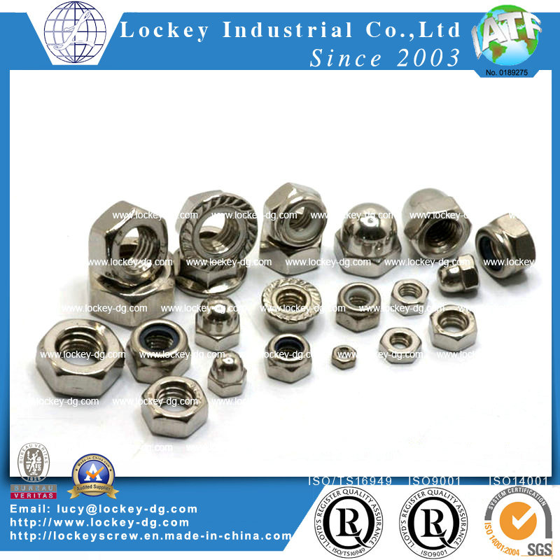 Stainless Steel Hex Nut / Square Nut / 2h Nut / Weld Nut / Flange Nut / Nylon Lock Nut