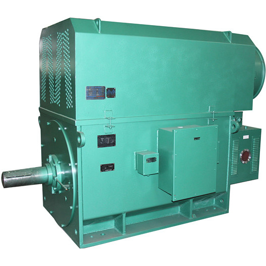 Professional Yrkk Series Industrial High Voltage Electric Motor