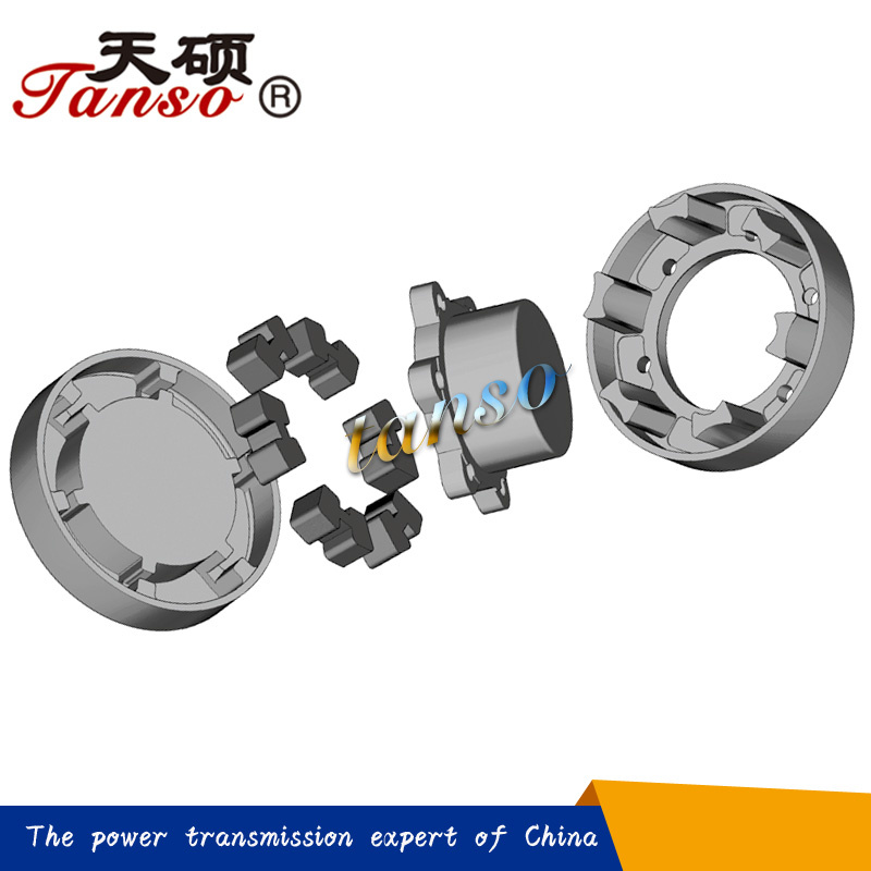 H Type Coupling Equivalent to Flender N-Eupex B Type