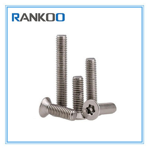 Torx Csk Head Security Machine Screw with Pin