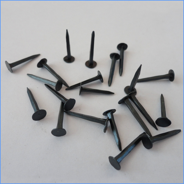 Fine Blue Shoe Tack Nails for Building Construction