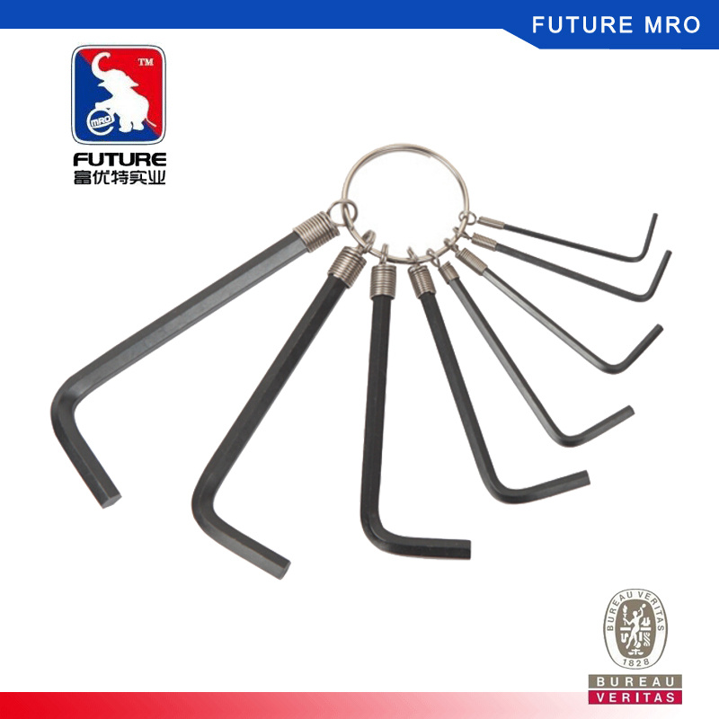 High Quality Cr-V Hex Allen Key Wrench Set on Ring