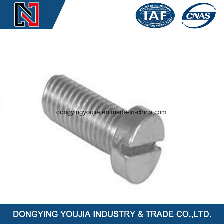 Cross Recessed Cheese Head Machine Screw