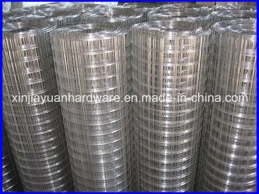 Building Material Galvanized Welded Wire Mesh