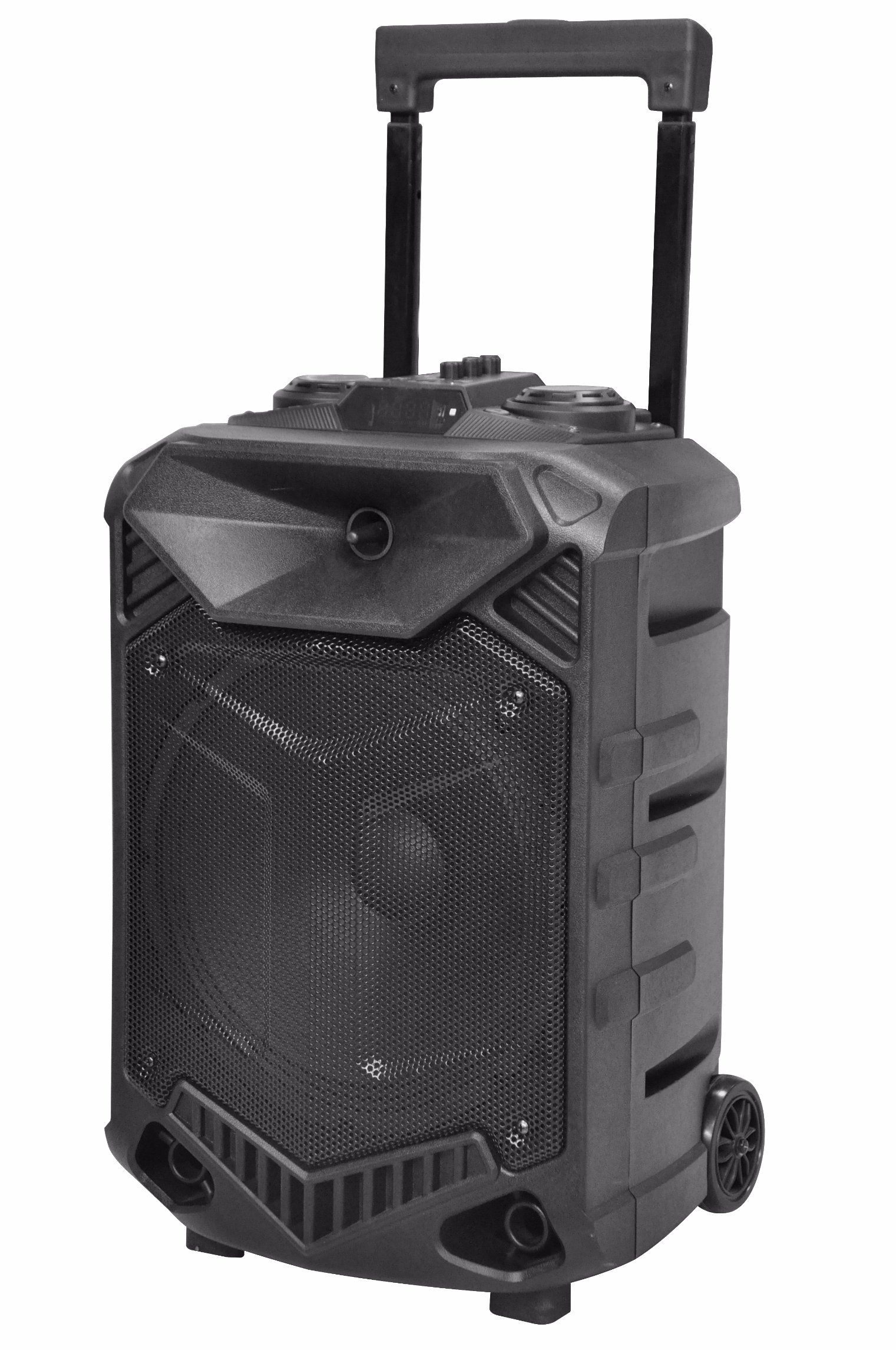 12 Inch Microphone Chargeable Bluetooth Portable Speakers