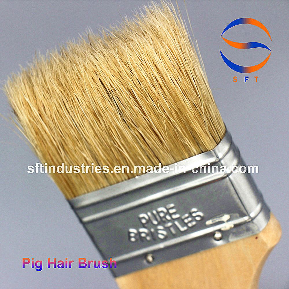 Pure Bristles Brushes for Wind Energy