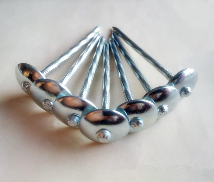 Galvanized Umbrella Roofing Nail of African Market