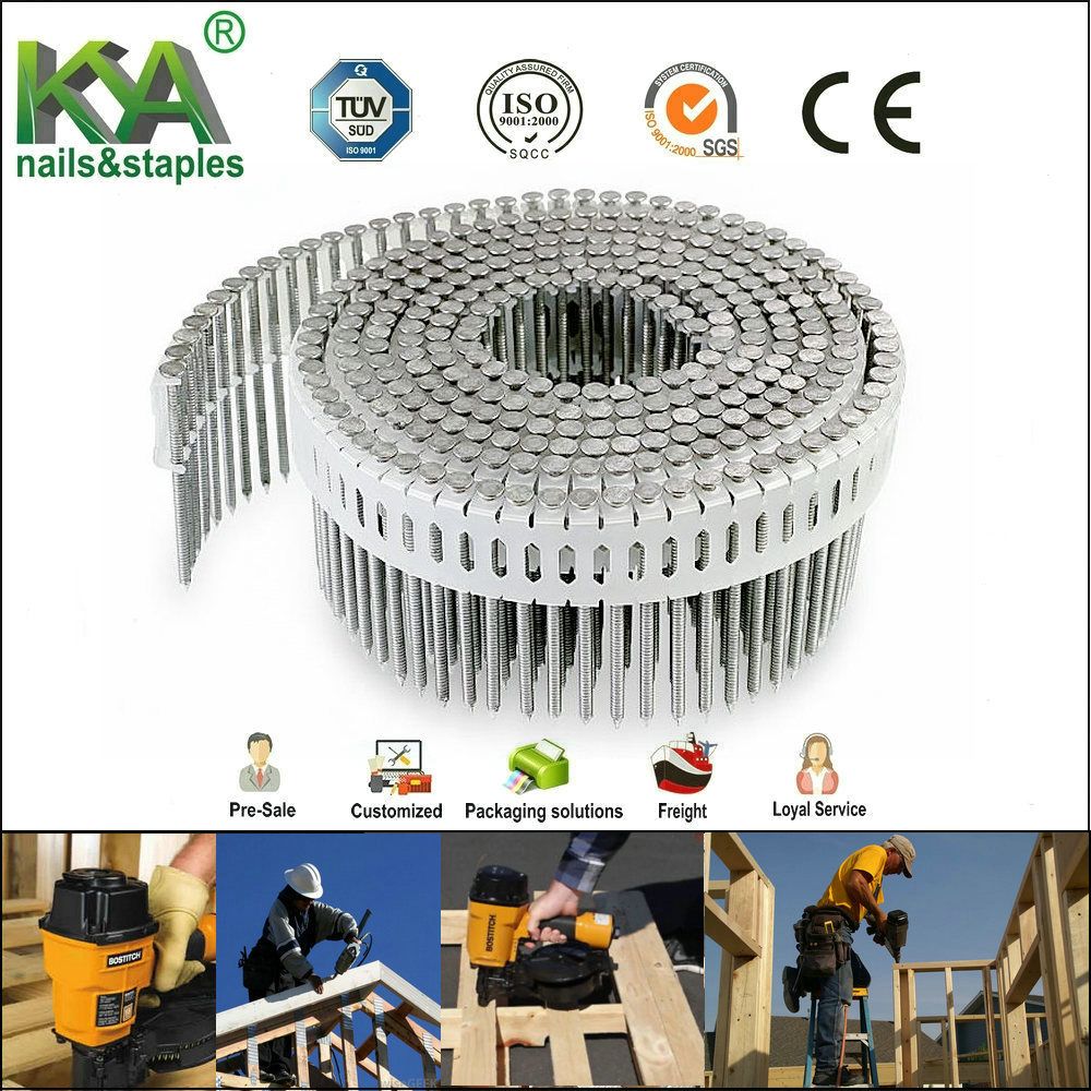 15 Degree Plastic Sheet Coil Nails