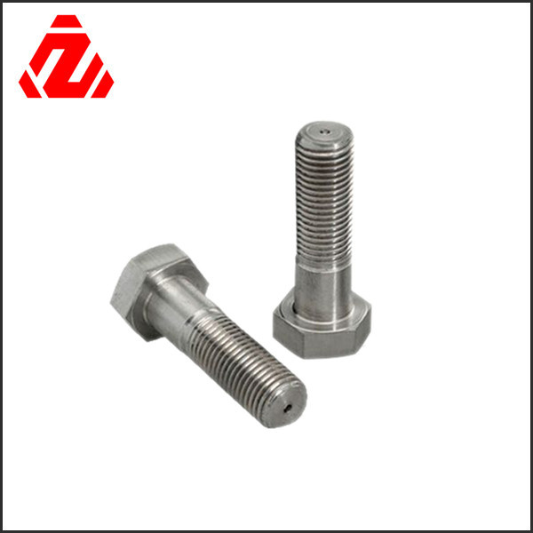 Custom Stainless Steel Hex Bolt