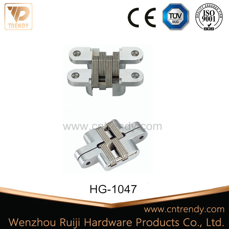 Concealed Brass Iron Ss Hardware Door Hinge (HG-1047)