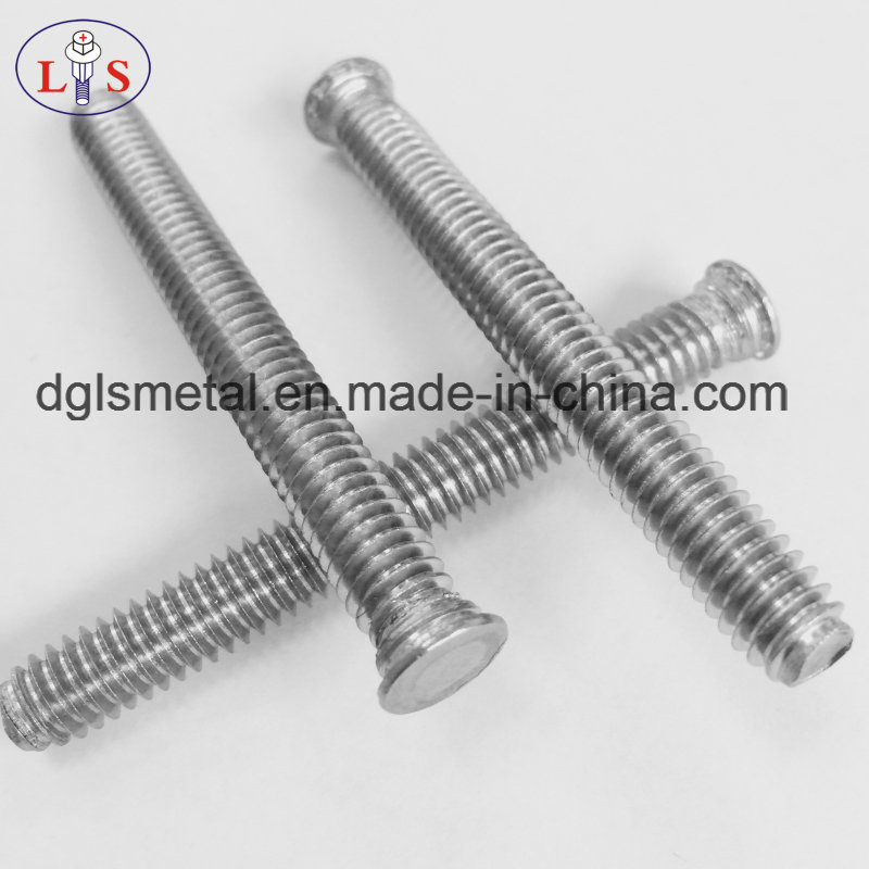 Stainless Stee304 Clinching Screw/Hexagon Head Bolt Ss 304 Truss Head Bolt