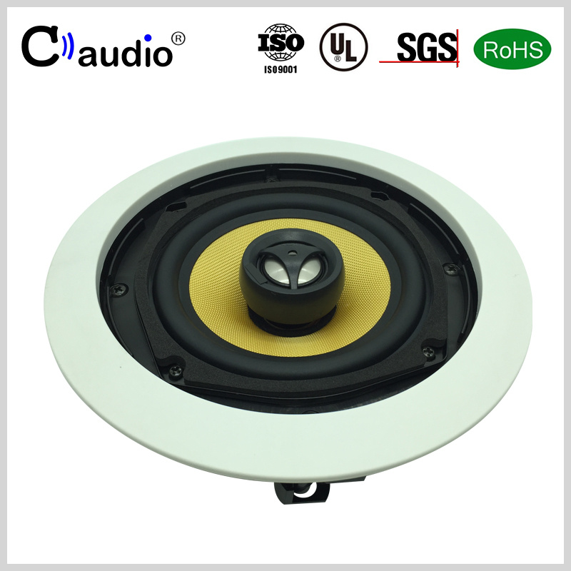 C5800 5.25 Inch Titanium Dome Tweeter Speaker Box