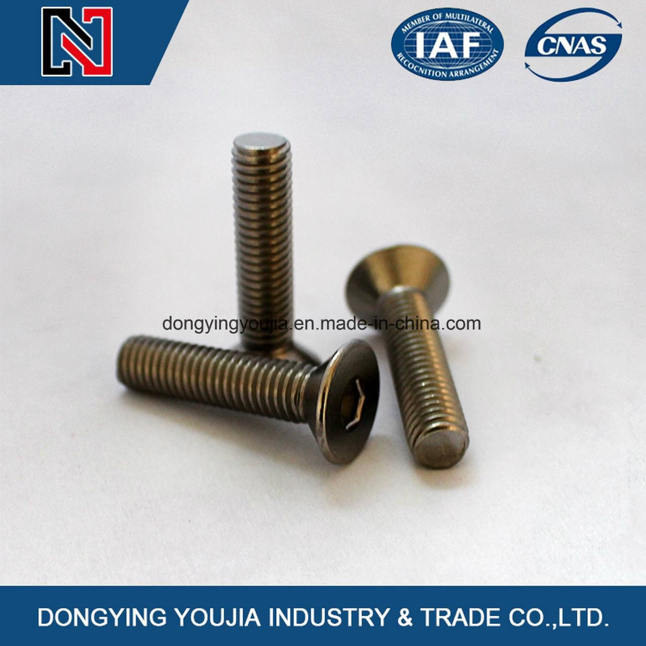 Hot Sales High Quality Cross Recessed Countersunk Flat Head Machine Screw