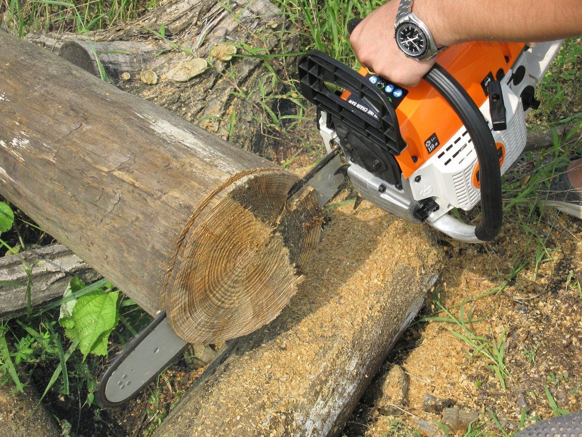 52cc Reasonable Price Small Chainsaw Machines Chain 5210