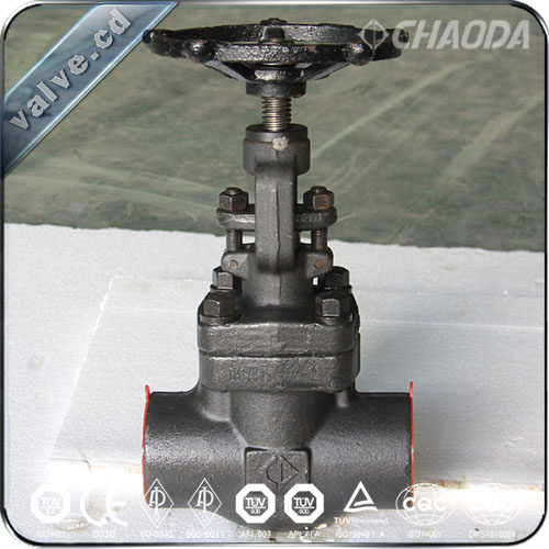 API 800lb NPT/Female Threaded Forged Gate Valve