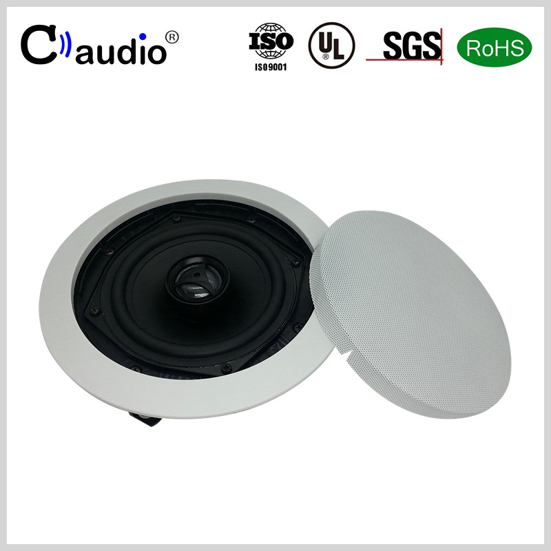 5.25 Inch 2 Ways Mini Speaker with PP Cone