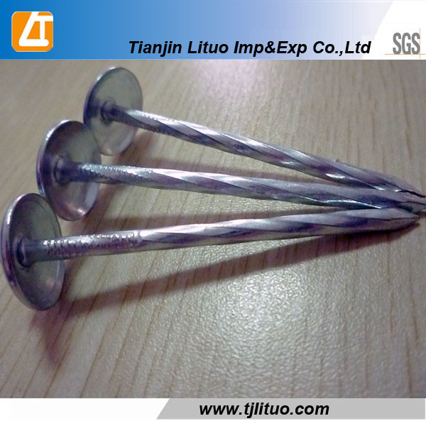 Umbrella Head Galvanized Twisted/Plain Shank Roofing Nails