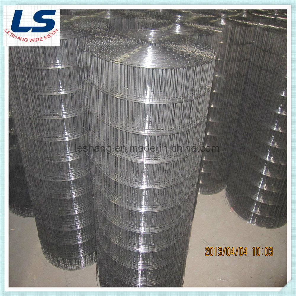 Building Welded Wire Mesh 150mmx150mmx50m