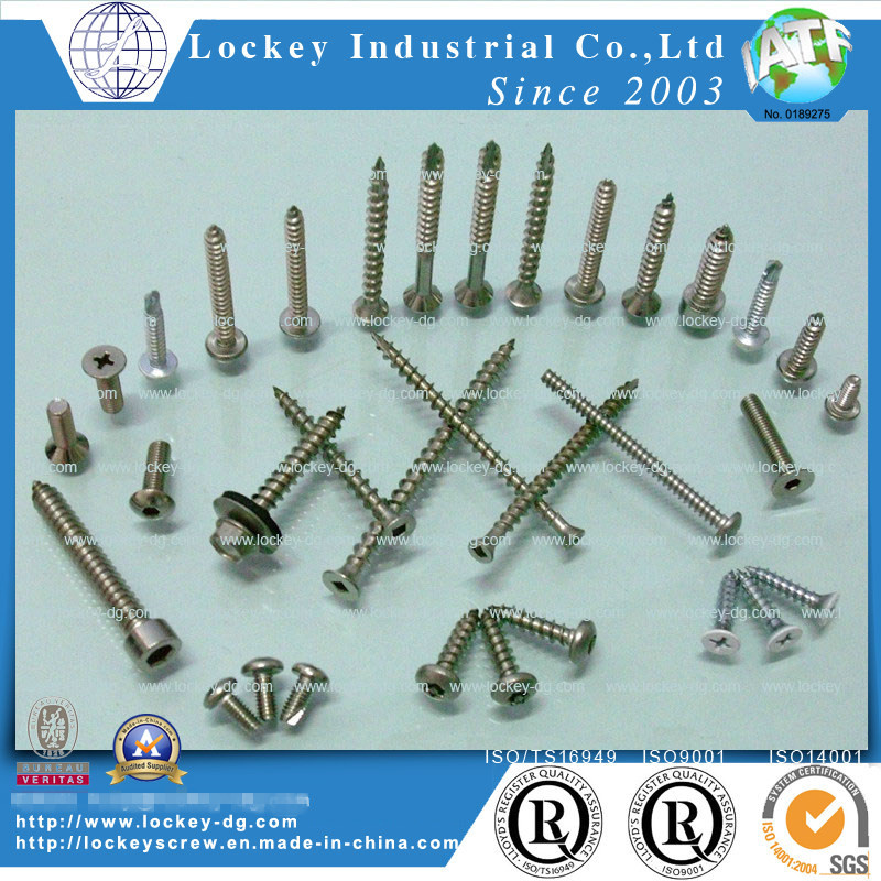 Self Tapping Screw Self Drilling Screw Deck Screw Roof Screw