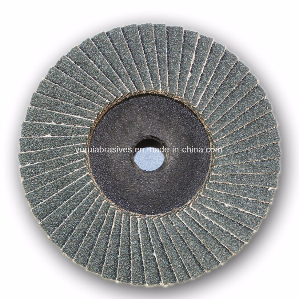10 Pieces 75mm Sanding Flap Disc Grinding Sanding Polishing Wheels