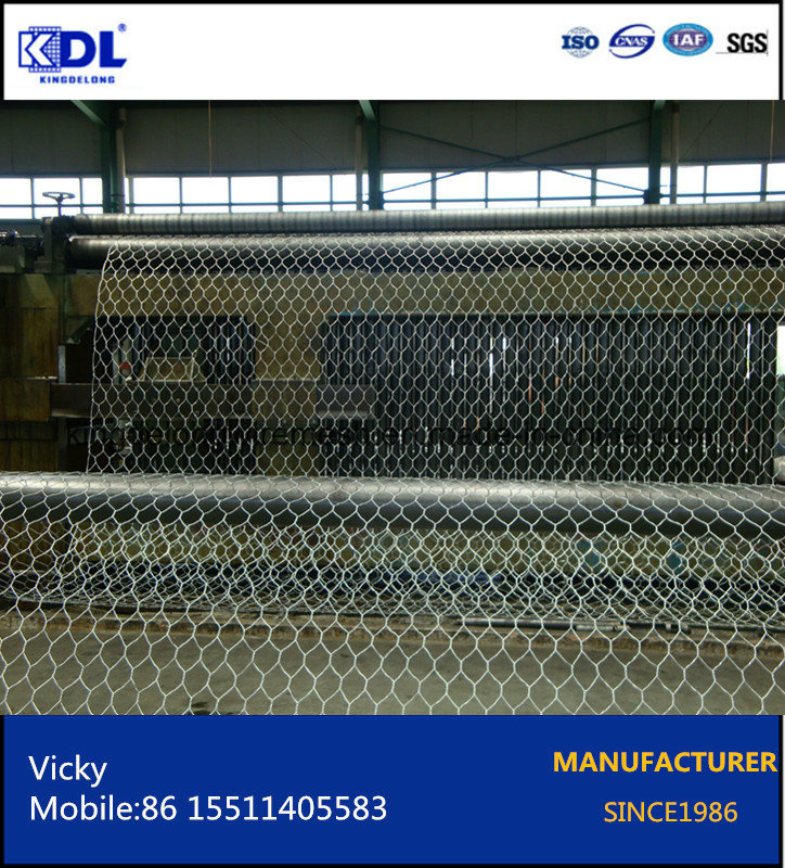Gabion Box/Hexagonal Wire Netting/Gabion Basket/Stone Cage/Stone Mesh