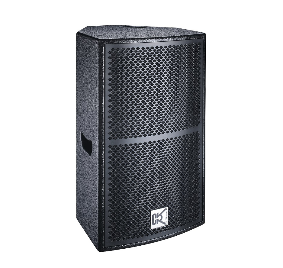 Indoor 12 Inch Active and Passive Speaker for Whole Sale Home Sound System