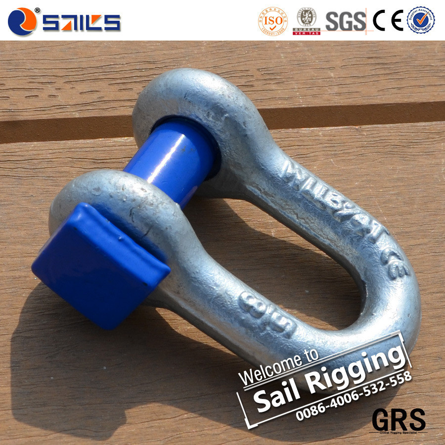 Us Type Squre Head D and Bow Shackles
