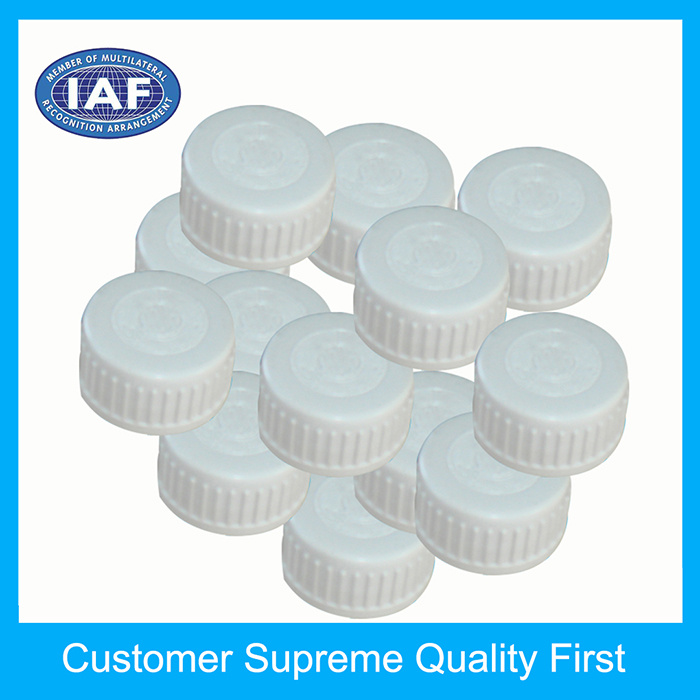 12 Cavity Hot Runner Plastic Injection Mould