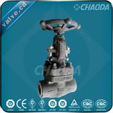 BS5352 Forged Steel Globe Valve Sw/NPT/BSPT