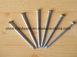 High Quality Polished Common Nail/ Common Wire Nails