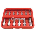 13 PCS Star Bit Socket Set (MG30013)