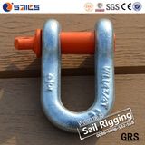 Us Type Steel Galvanized G210 Dee Shackle with Screw Pin