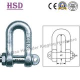 DIN82101 D Type Shackl, European D Shackle, JIS D Type Shackle, Us Type Forged Shackle, Anchor Shackle, Fastener, Rigging Hardware, Maring Hardware