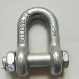 China Manufacturer Marine Hardware G-2150 U. S. Type Drop Forged D Shackles