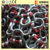 U. S. Type Forged Steel Bow Shackle 2130