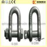 Us Type Drop Forged Screw Pin Bow Shackle Anchor Shackle