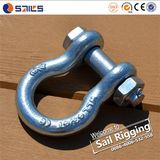 Us Type Galvanized Shackle Hardware