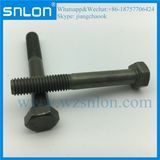 8.8 10.9 12.9 Hexagon Head Bolt Machine Screw