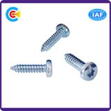 Stainless Steel Flower Pan Head Self-Tapping Screw for Building/Railway Machine