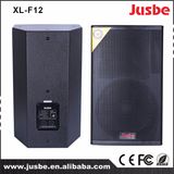 12 Inch 300 Watts Professional Stage Sound System OEM Speaker