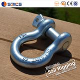 Us Type G209 Bow Type Screw Pin Anchor Shackle