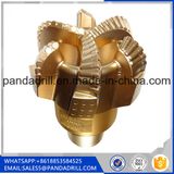 Hard Rock Diamond Core Natural Gas Oil PDC Drill Bit