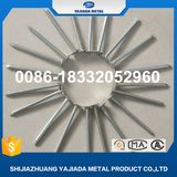 Building Common Wire Nail Construction Common Nail Iron Nails Factory