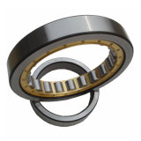 High Accuracy Double Row Cylindrical Roller Bearings for Gearbox Press Machine (NJ2316)